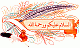 الصورة الرمزية nyaryar2020